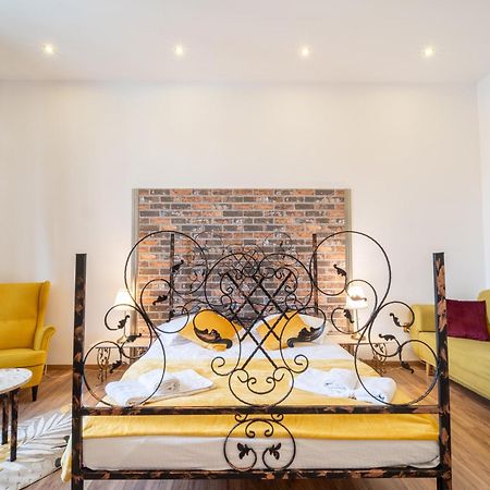 Cozy Spacious 5 Star Accommodation In The Heart Of Historic Center 克卢日-纳波卡 外观 照片