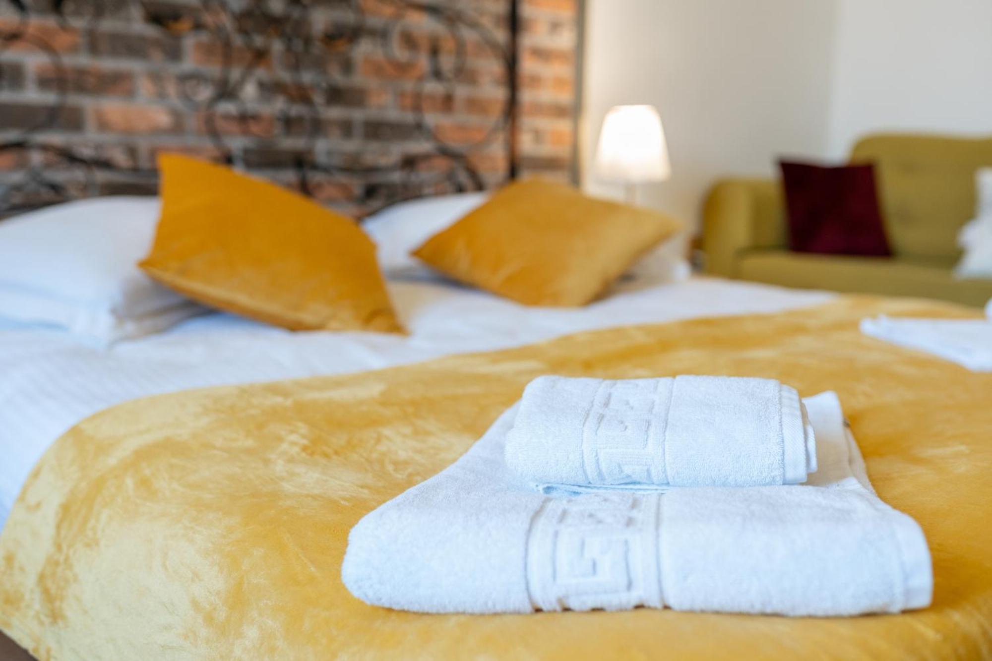Cozy Spacious 5 Star Accommodation In The Heart Of Historic Center 克卢日-纳波卡 外观 照片