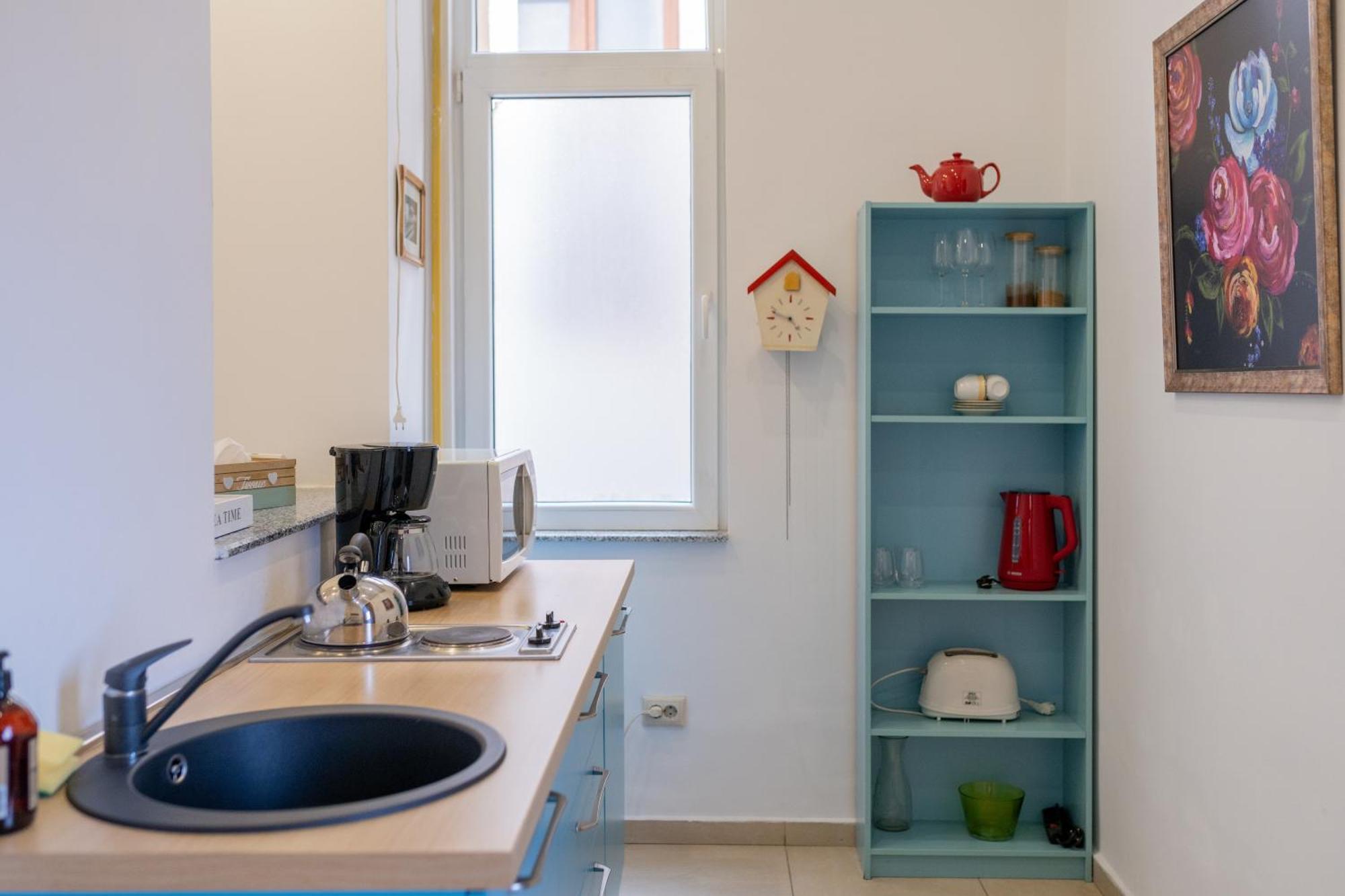 Cozy Spacious 5 Star Accommodation In The Heart Of Historic Center 克卢日-纳波卡 外观 照片