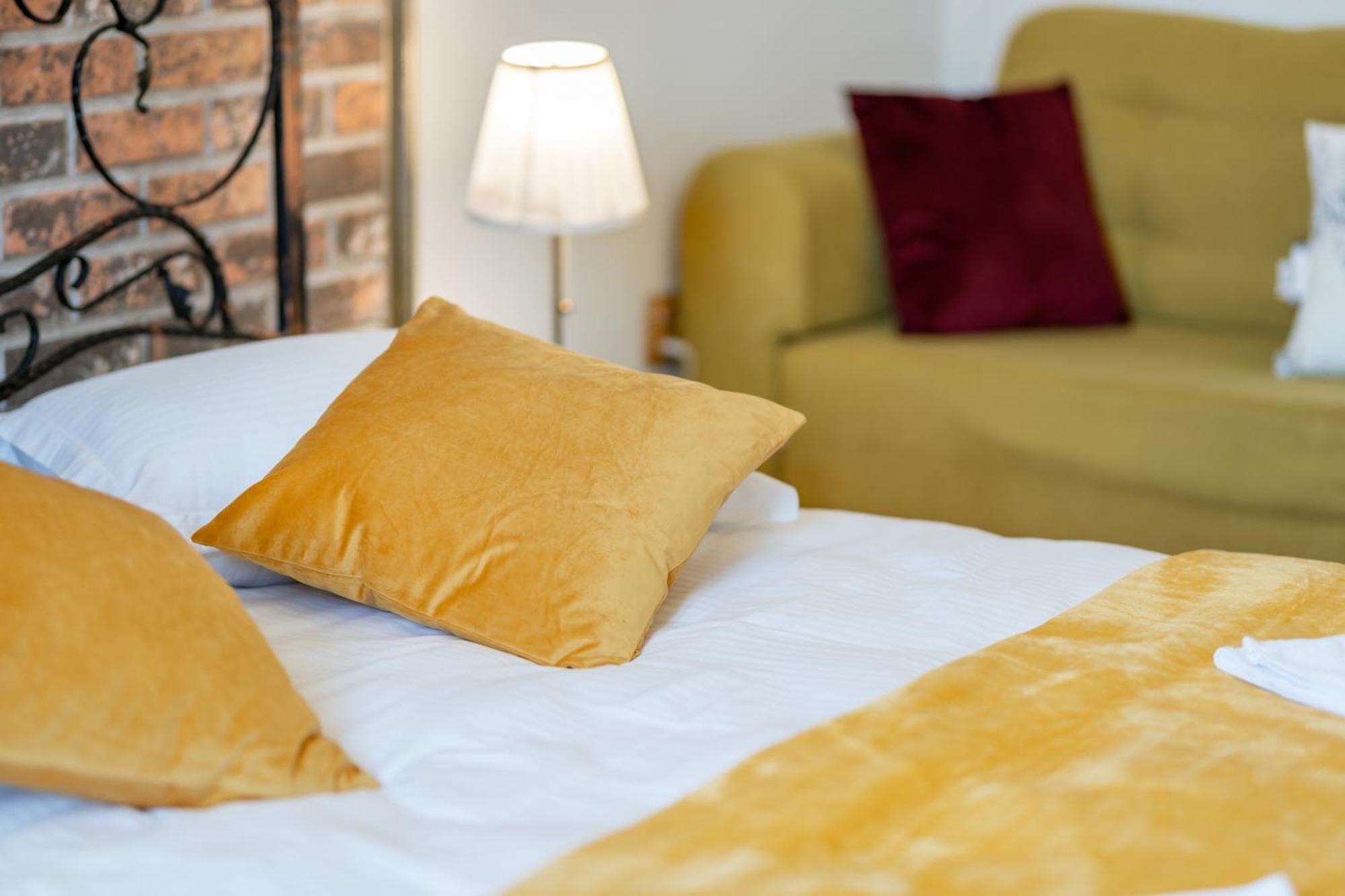 Cozy Spacious 5 Star Accommodation In The Heart Of Historic Center 克卢日-纳波卡 外观 照片