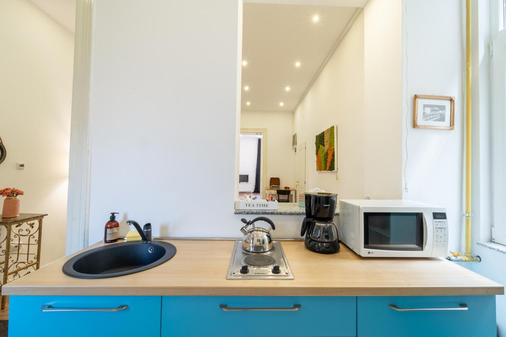 Cozy Spacious 5 Star Accommodation In The Heart Of Historic Center 克卢日-纳波卡 外观 照片