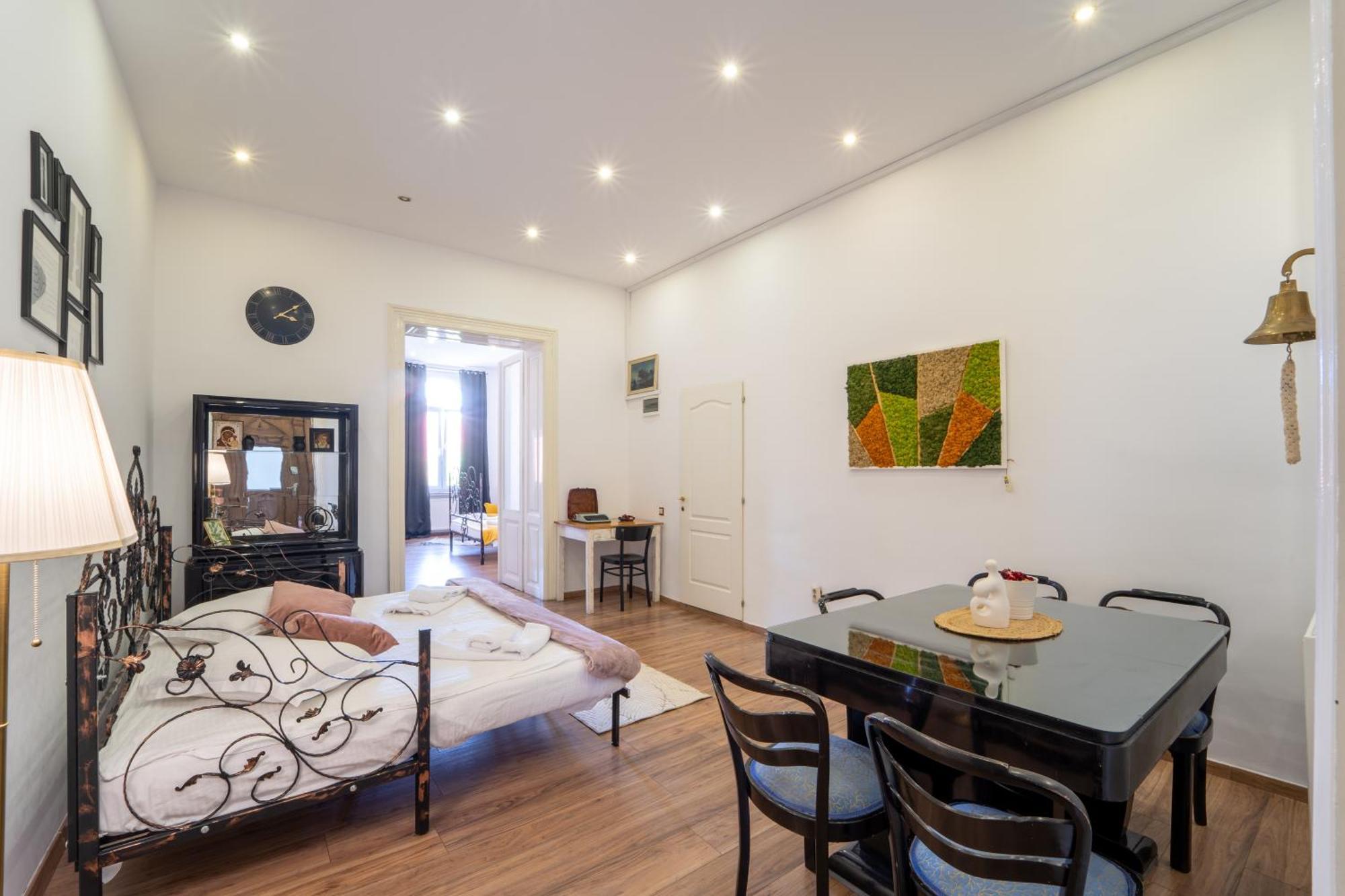Cozy Spacious 5 Star Accommodation In The Heart Of Historic Center 克卢日-纳波卡 外观 照片