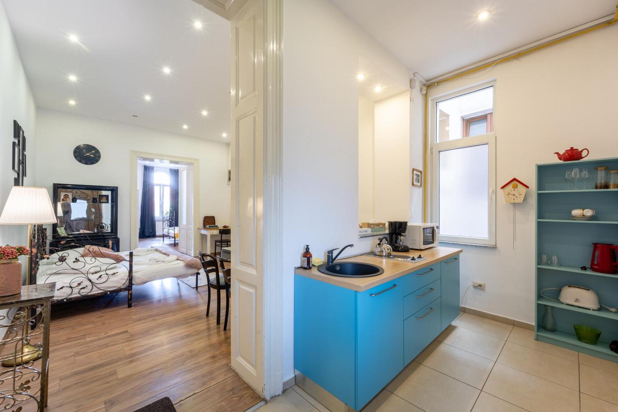 Cozy Spacious 5 Star Accommodation In The Heart Of Historic Center 克卢日-纳波卡 外观 照片